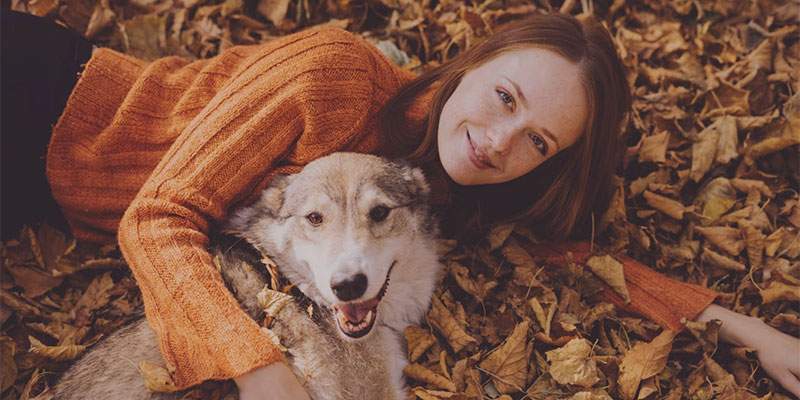 Nasce Amusi, nuovo marchio per il benessere animale