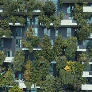 Garden mania: il valore di uno spazio “verde”