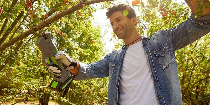 Taglio senza fatica con le forbici a batteria Verdemax