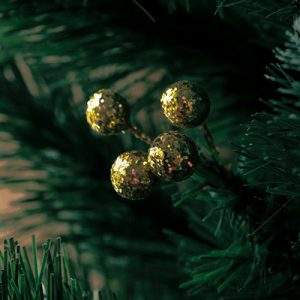 L’albero di Natale a noleggio