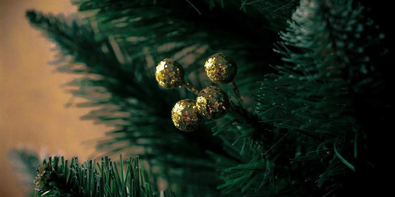 L&rsquo;albero di Natale a noleggio