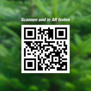 toom, realtà aumentata per l’albero di Natale