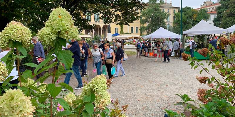 Orticola di Lombardia non va a Roma