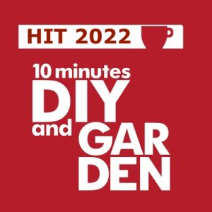 TEN, gli articoli di maggiore successo nel 2022