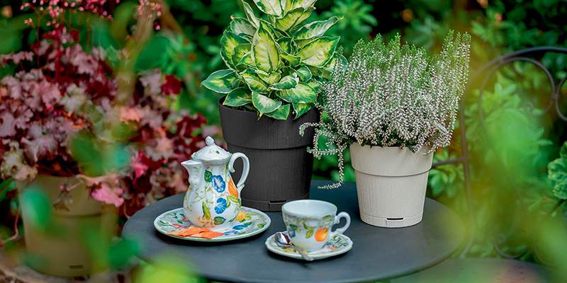 ETHICA: un giardino veramente green