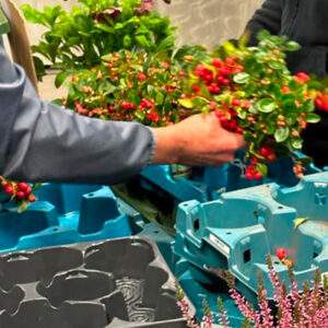 Euro Plant Tray per il riuso dei vassoi per piante