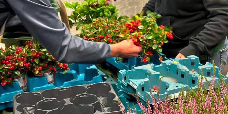 Euro Plant Tray per il riuso dei vassoi per piante