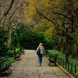 Piante da siepe sempreverdi per un giardino rigoglioso tutto l’anno