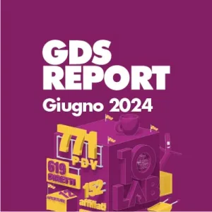 GDS Brico/Home Improvement Monitoring June 2024