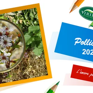 Viridea, torna il progetto didattico “Pollicino Verde”