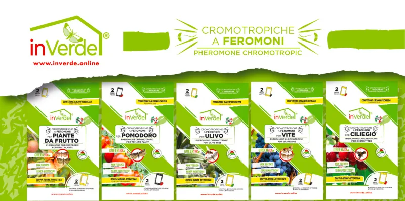 Nuove trappole cromotropiche con tecnologia feromonica