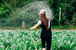 Pompe a immersione: la soluzione versatile e conveniente per l’irrigazione dei giardini