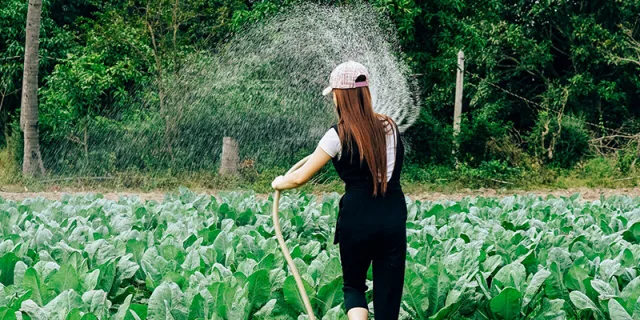 Pompe a immersione: la soluzione versatile e conveniente per l&rsquo;irrigazione dei giardini