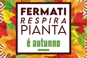 Torna il Garden Festival d’Autunno di AICG
