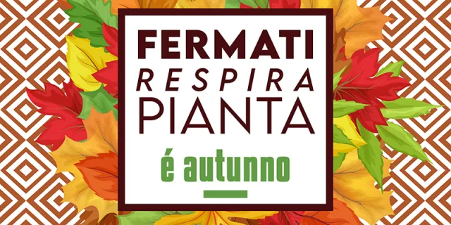 Torna il Garden Festival d&rsquo;Autunno di AICG