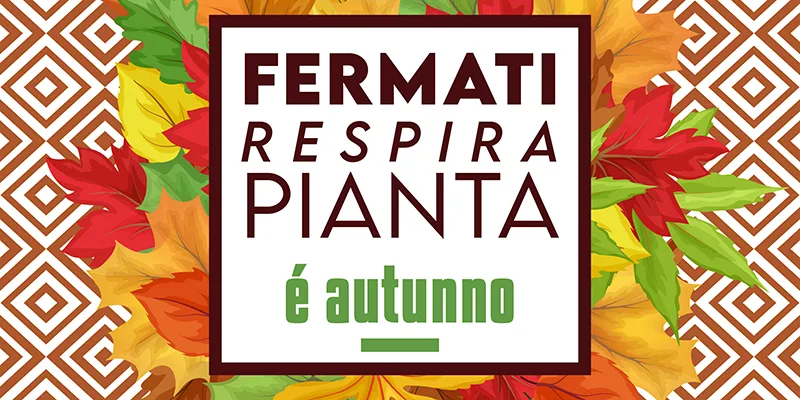 Torna il Garden Festival d’Autunno di AICG