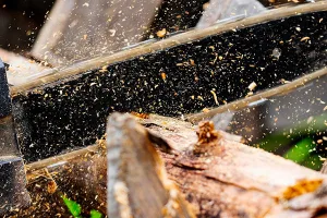 Motoseghe: sceglierle e utilizzarle in modo corretto per evitare incidenti