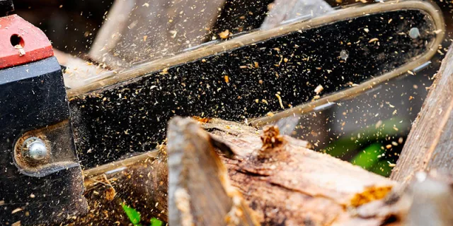 Motoseghe: sceglierle e utilizzarle in modo corretto per evitare incidenti