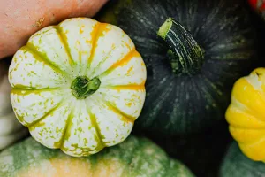 Lavori di novembre in giardino e nell&rsquo;orto: come prepararsi all&rsquo;inverno