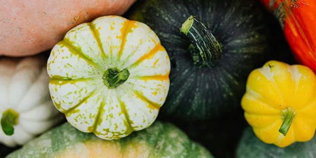 Lavori di novembre in giardino e nell&rsquo;orto: come prepararsi all&rsquo;inverno