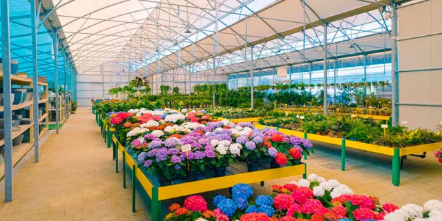 Mediterraneo Garden Center, strategie di fidelizzazione multicanale